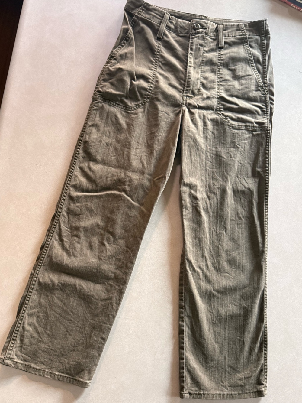 Levi’s Waterless Pants in Olive Green